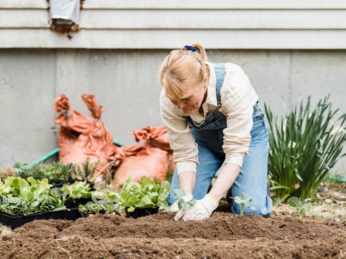 Church Garden Work Day